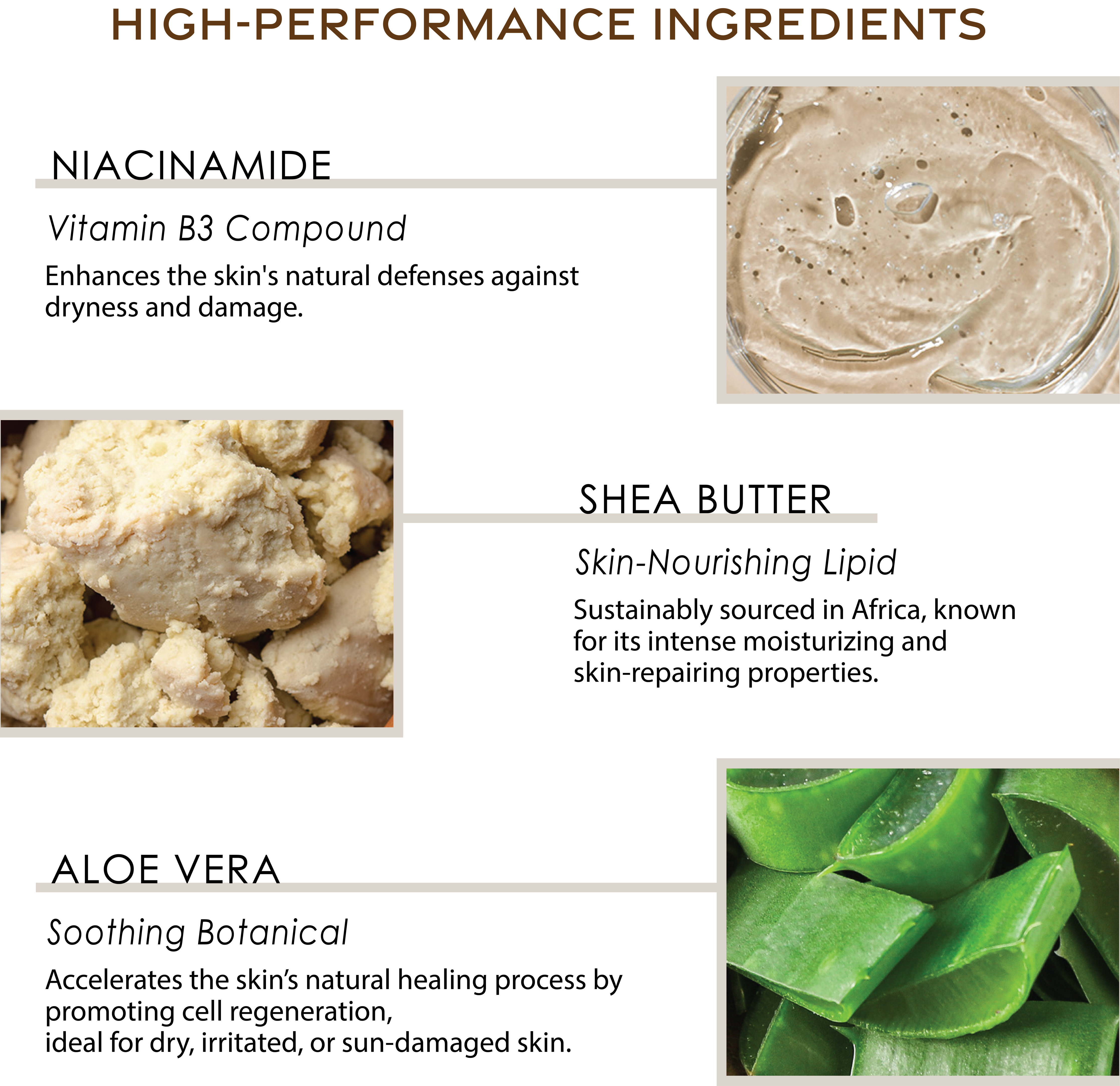 Body Butter | Brown Sugar Vanilla